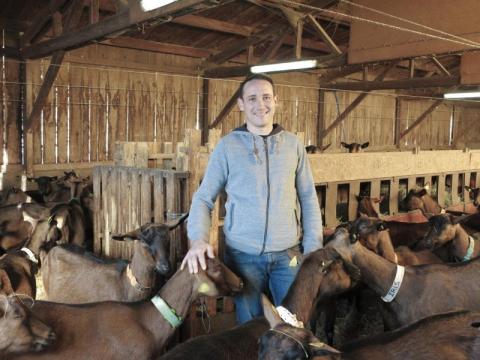 Les bienfaits de la viande de boeuf ! - Élevage des Tuileries